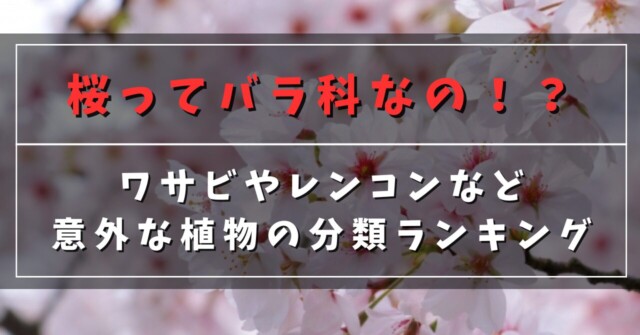 桜ってバラ科なの！？